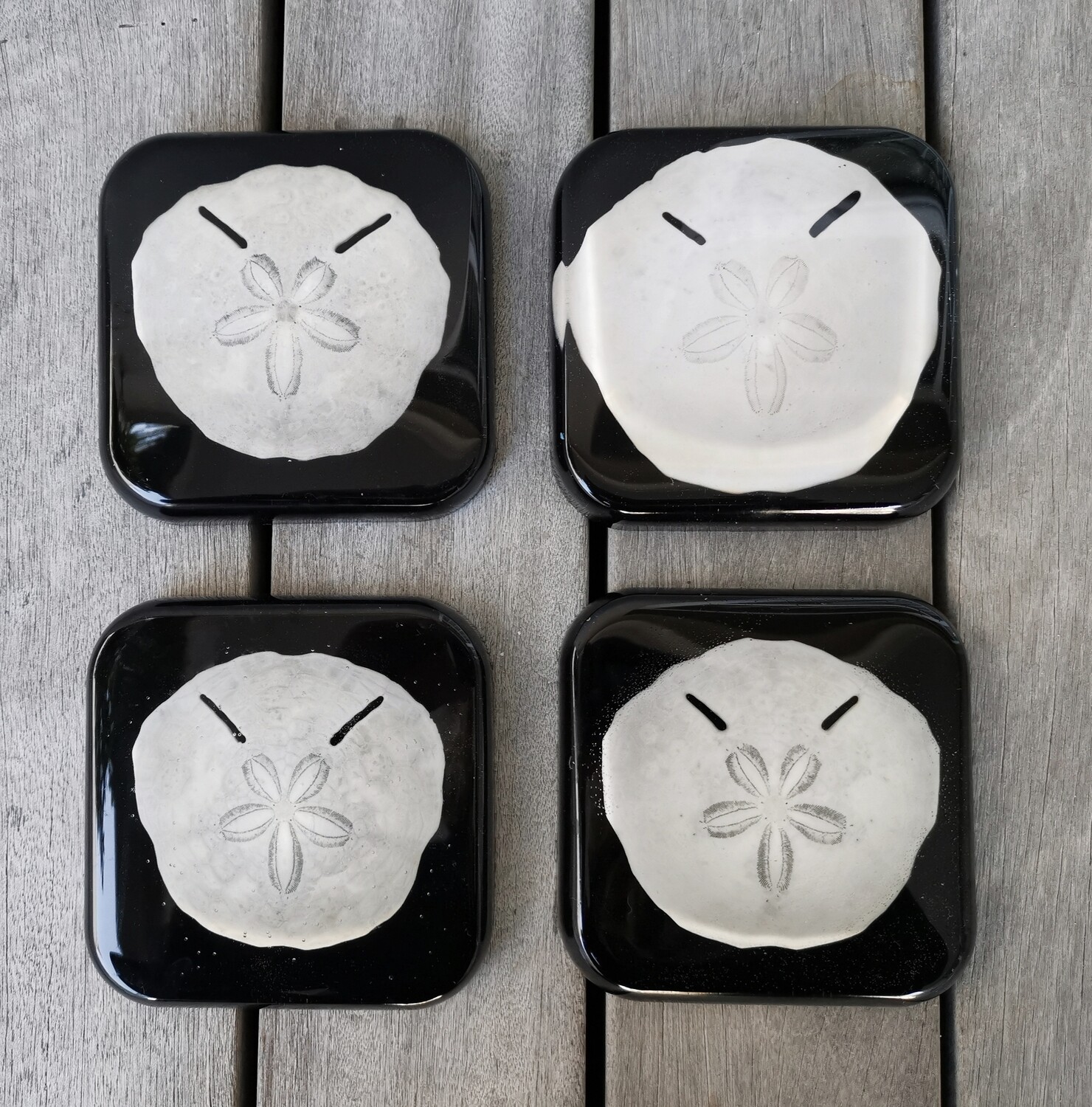 Pansy Shell & Sand Dollar Resin Coasters Sea & Shore Store Sea