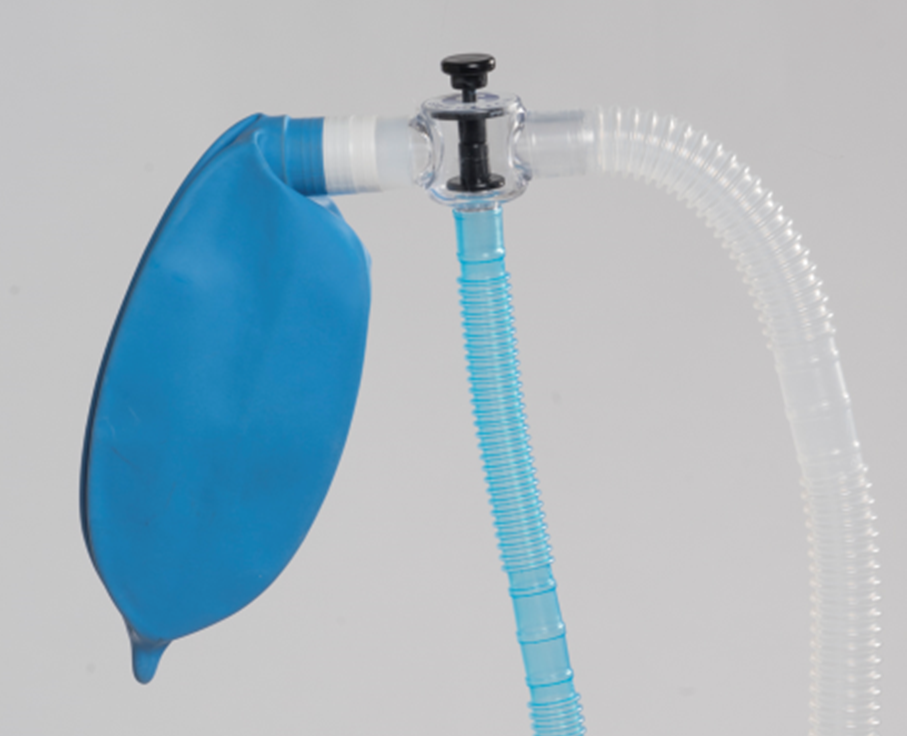 SafeSigh NonRebreathing Circuit Breathing Circuits Vetamac Store