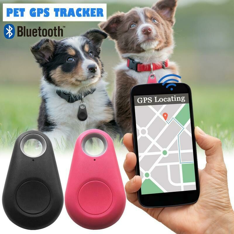 Pets GPS Tracker & Activity Monitor