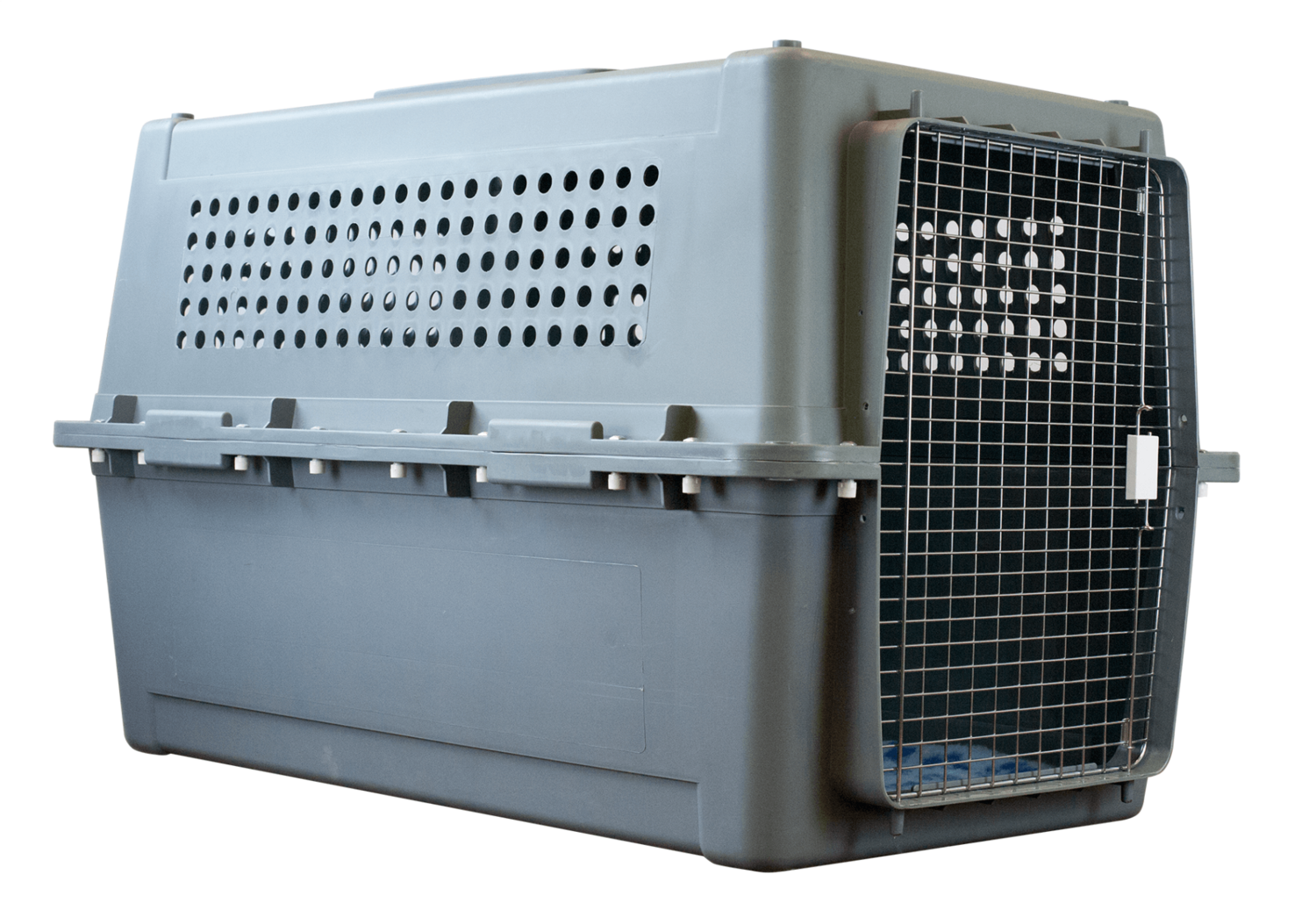 PP90 suitable for the larger breeds of dog