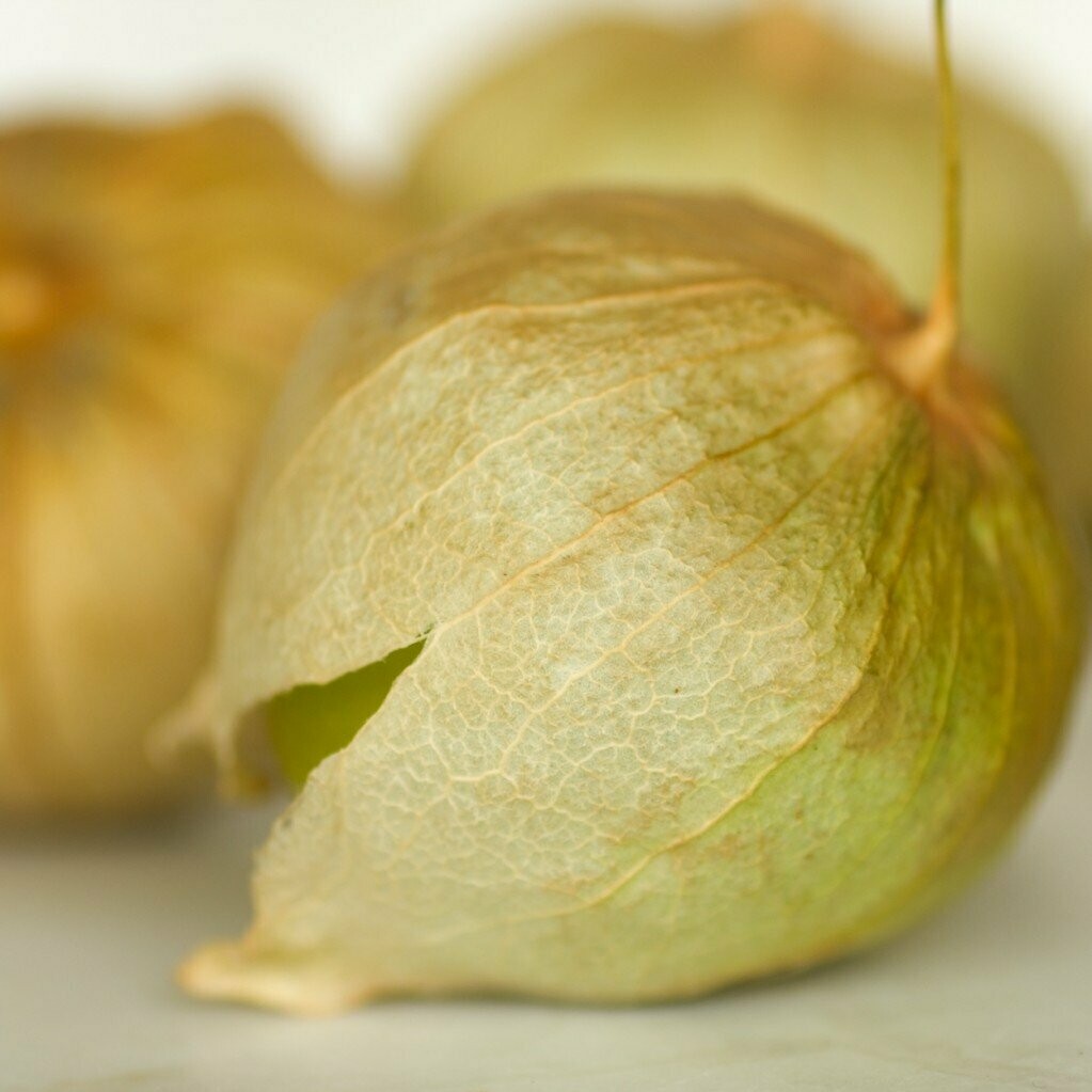 Tomatillo Verde