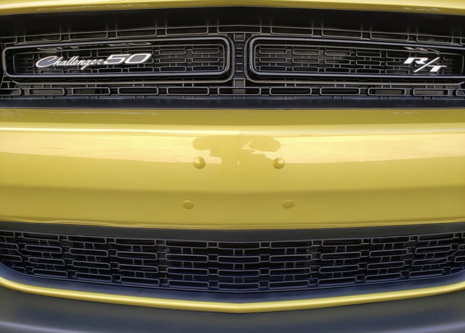 Bumper Plugs Painted OEM Colors