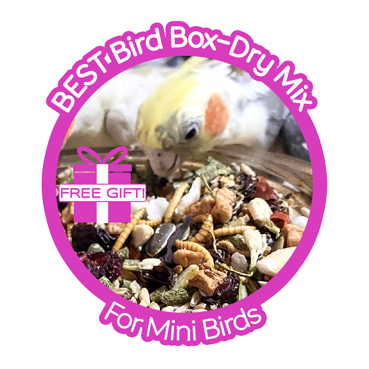 Thrive! Best Bird Box — Mini Birds (finches, canaries, cockatiels