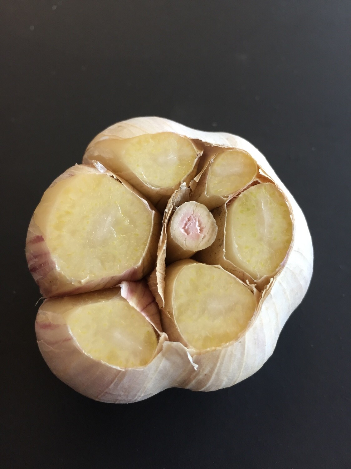 75 Organic Garlic Seed Store Pete's Greens