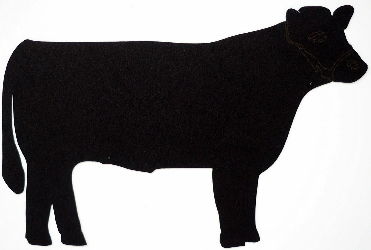 Steer Show