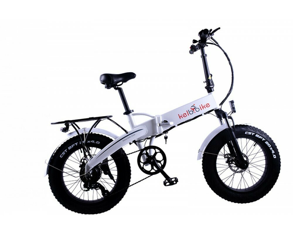 fat tyre folding electric bike