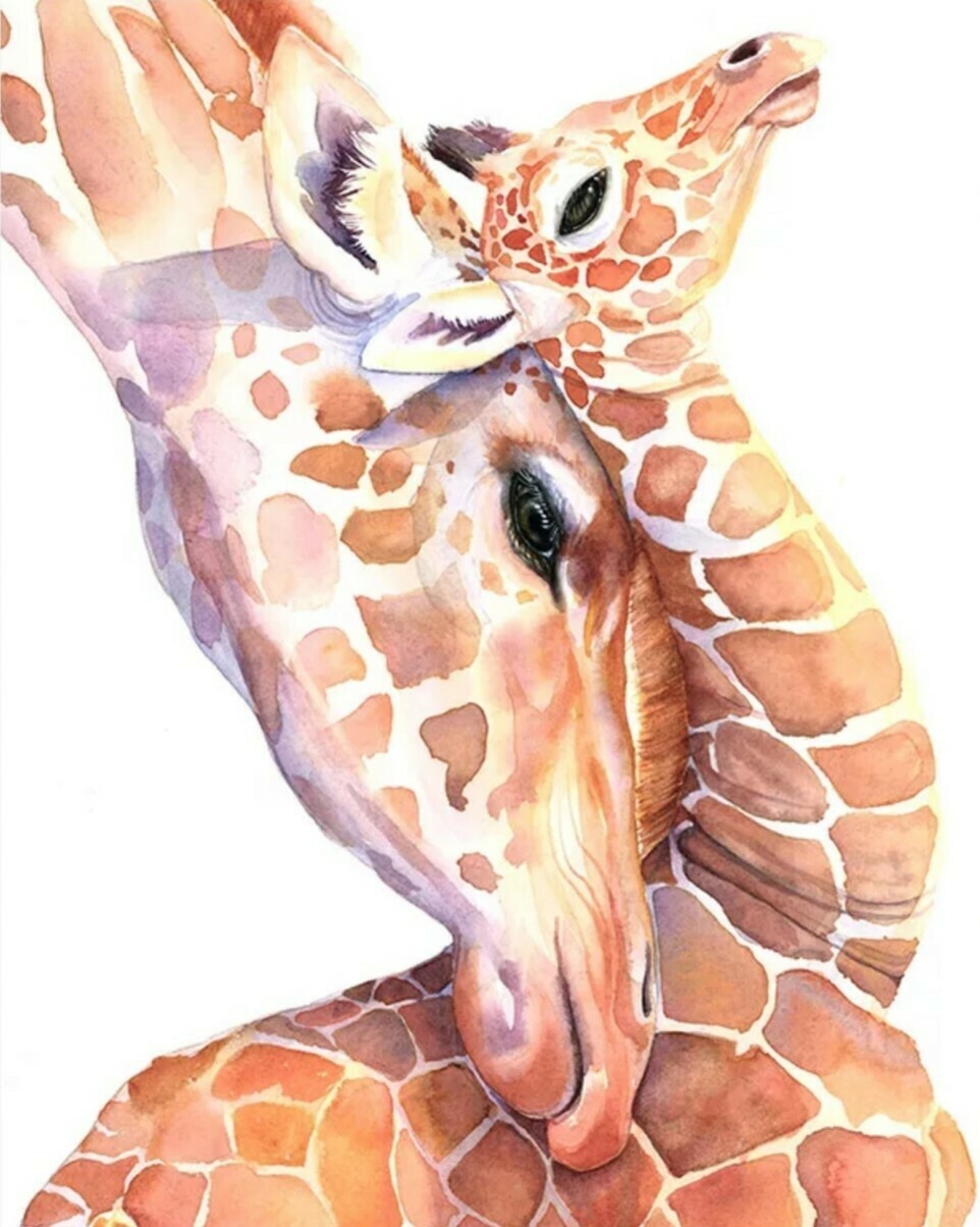 5D DIY Diamond Painting Kit Giraffe and calf 40 x 60cm FULL DRILL Square