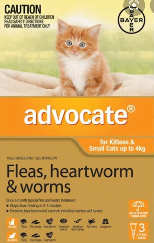 Advocate Cat 04kg 3pcs