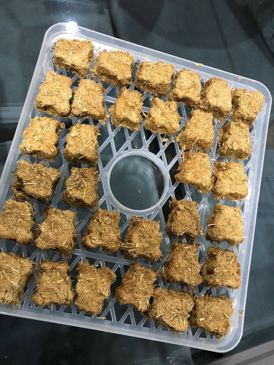 Homemade Oaten Hay Cookie (Papaya Flavour) 50g