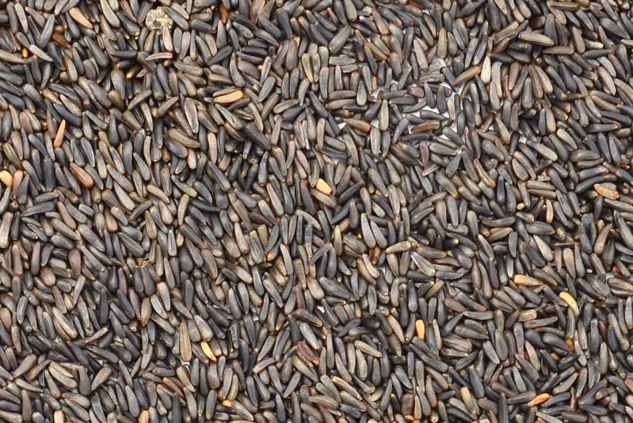 Niger Seed Online Shop Newbawn Wild Bird Feed Ireland