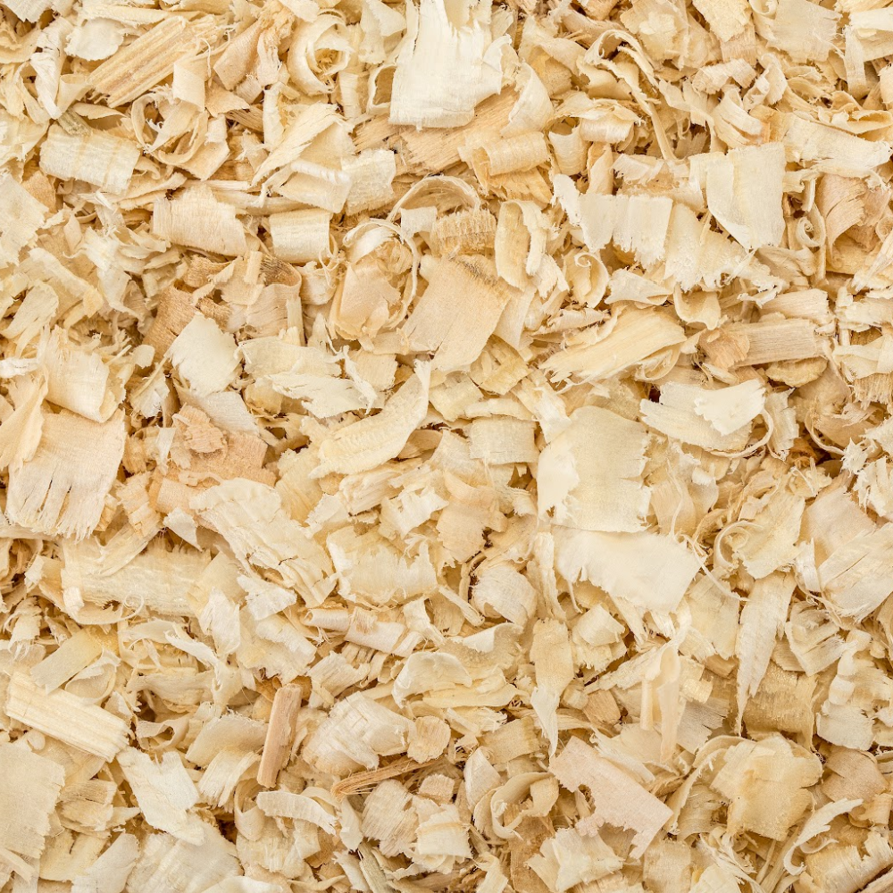 Bedding Hatching Poults With a Broody Turkey Hen Meyer Hatchery Blog