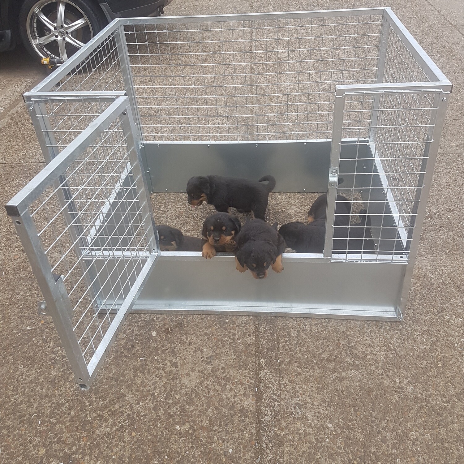 GALVANISED MESH PUPPY PEN