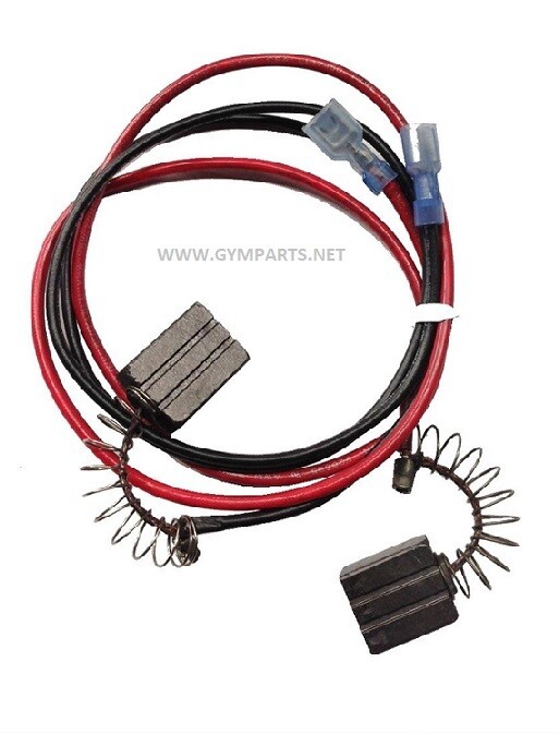 MOTOR BRUSHES FOR CYBEX TREADMILL