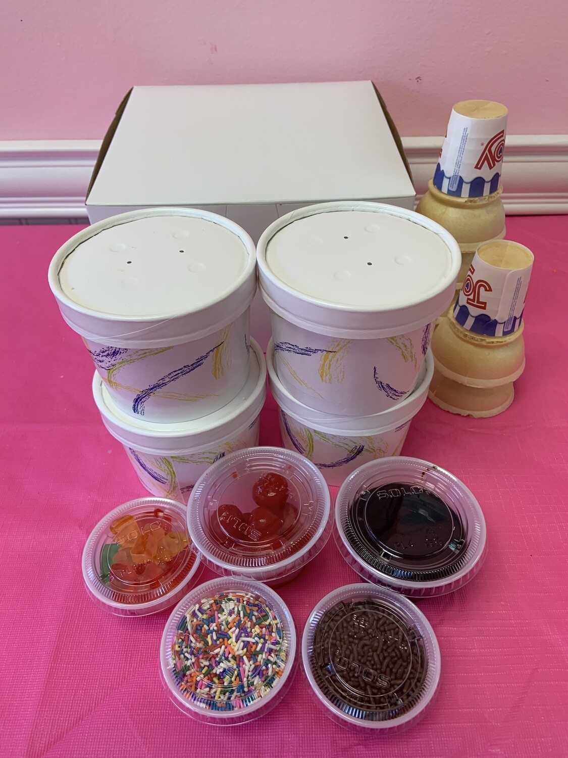 DIY Ice Cream Kit