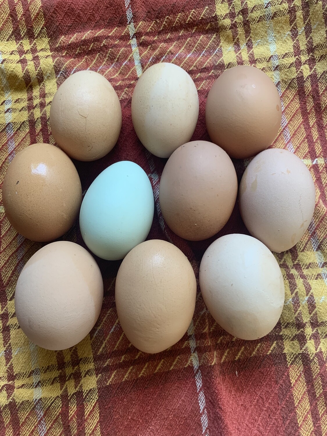 Local Brown Eggs, Dozen