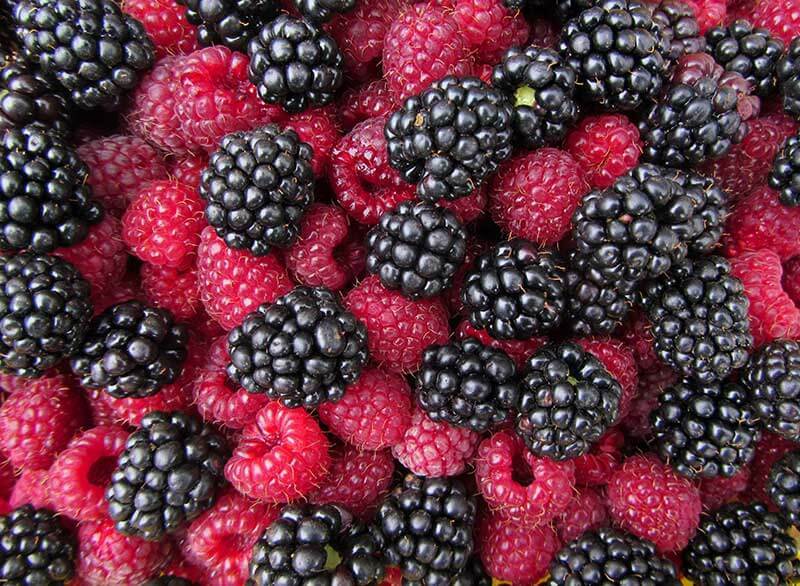 Blackberry, Blueberry, Raspberry and Grapes Our Online Store