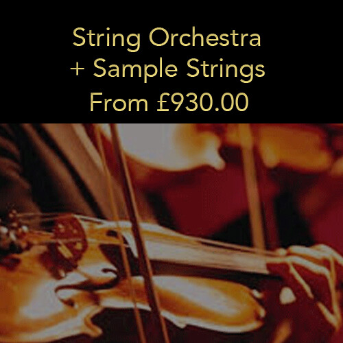 Option 7 String Orchestra + Sample Strings (20 deposit) Options Remote Strings