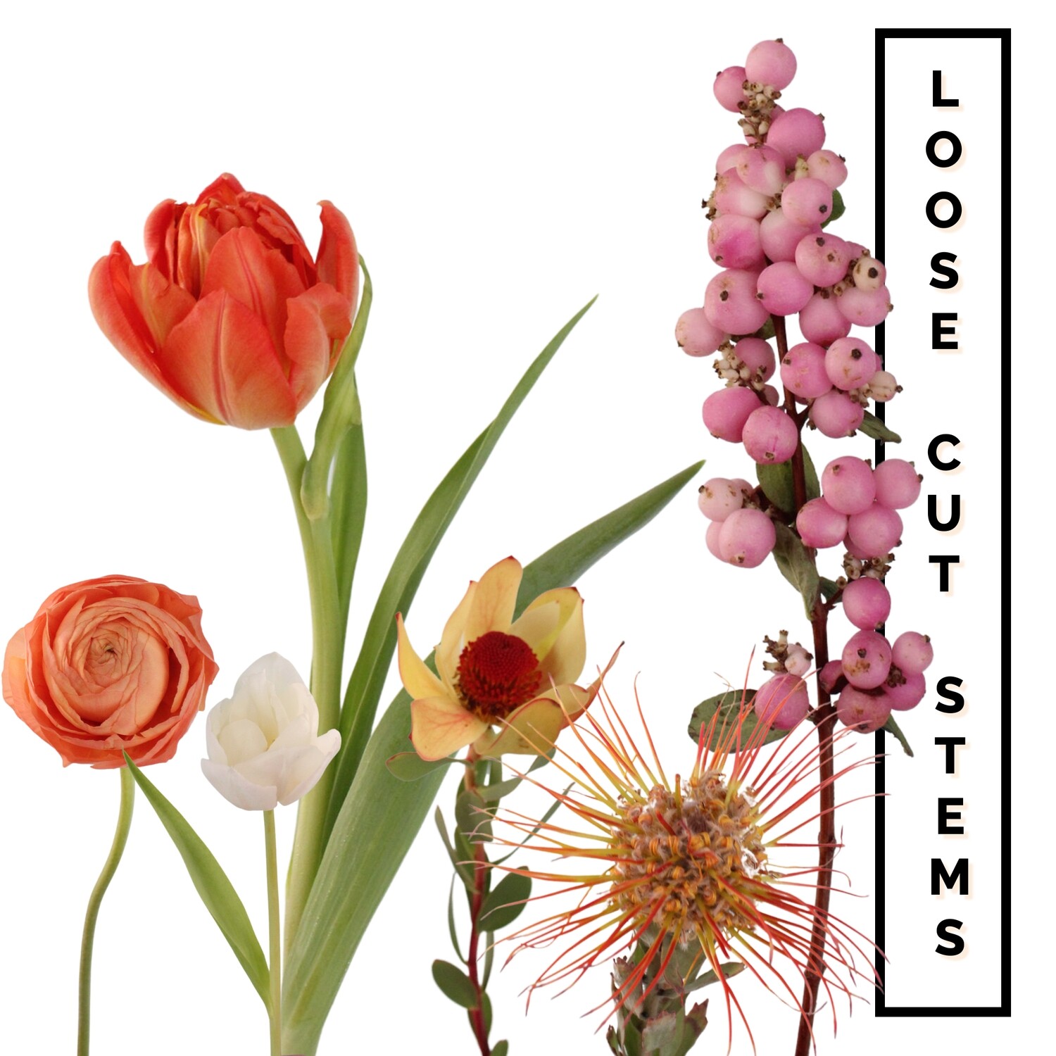 Loose Cut Stems