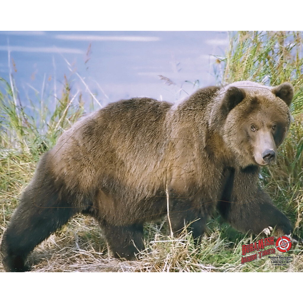 Duramesh Archery Target Grizzly Bear 25 In. X 32 In.