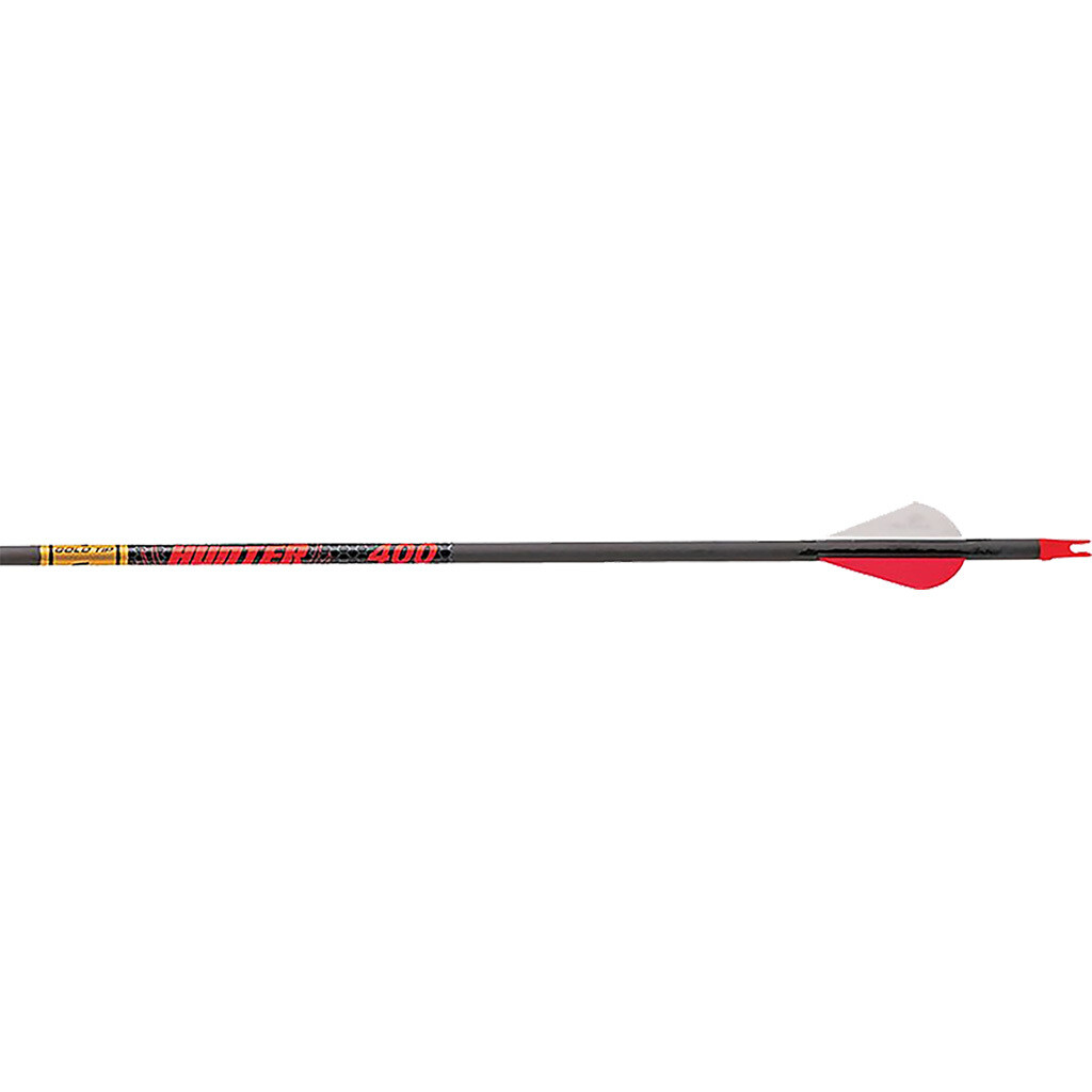Gold Tip Hunter Arrows 500 Raptor Vanes 12 Pk.