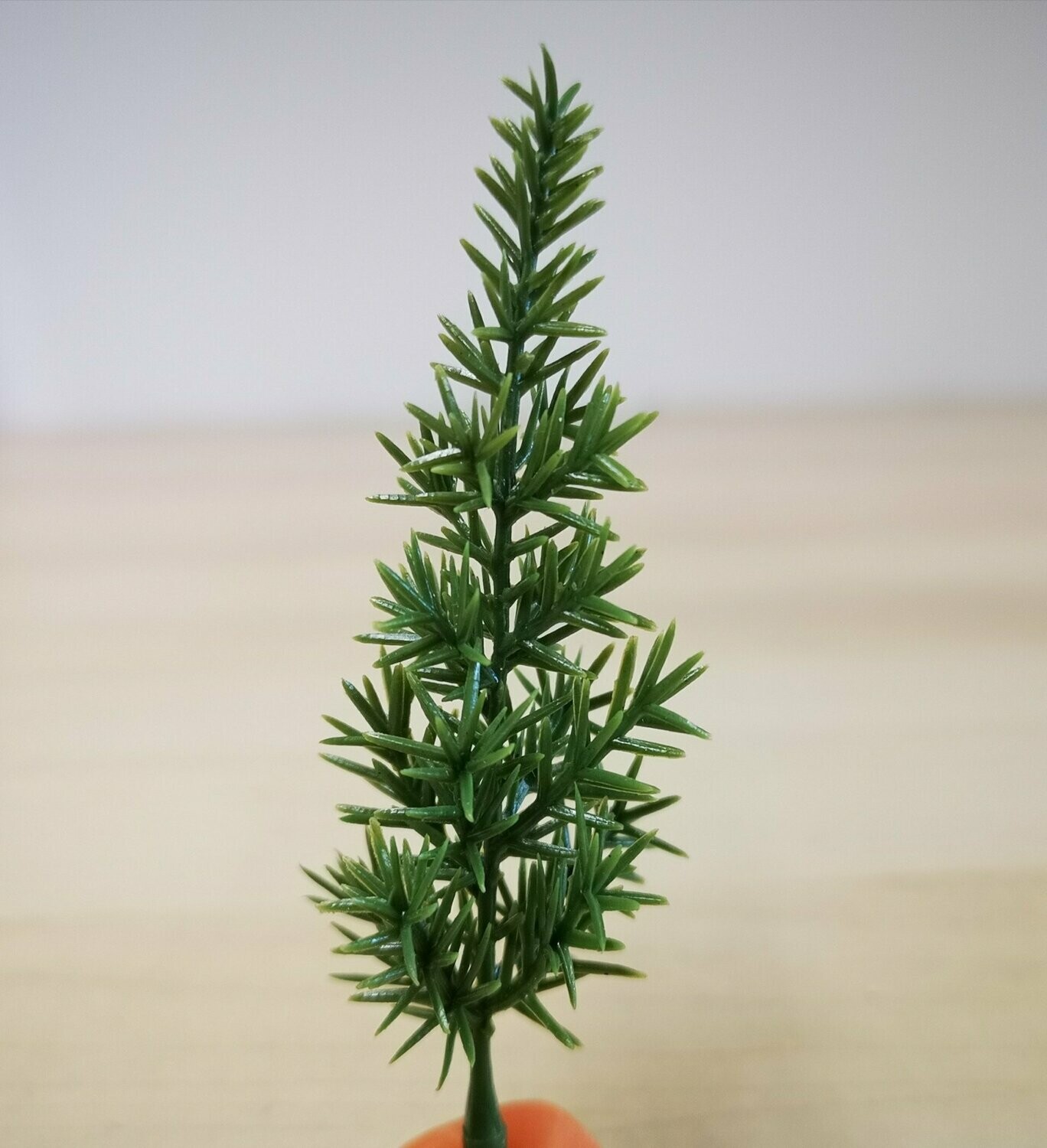Parts Of A Pine Tree