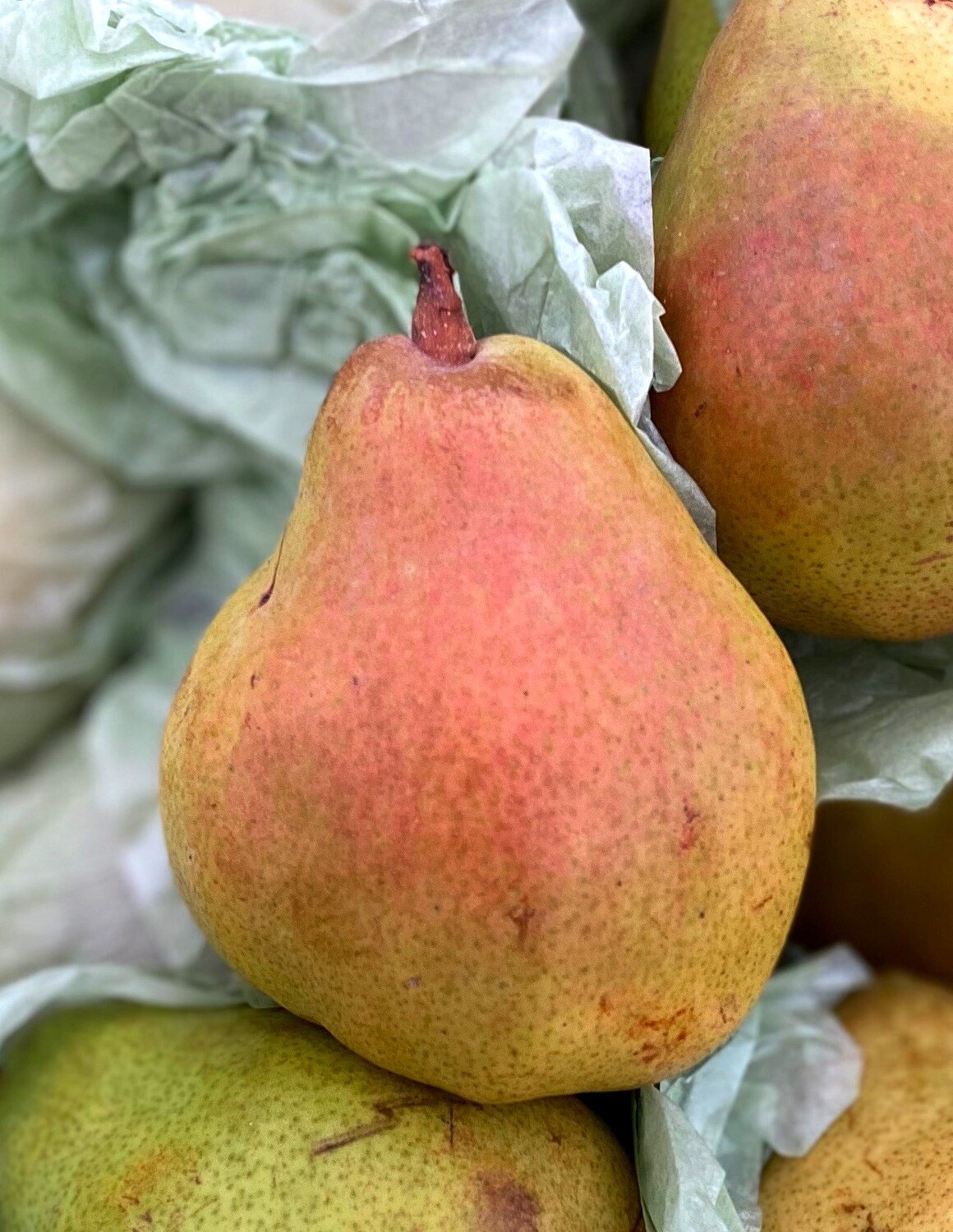 NEW CROP! Bartlett Pears, Imported ONE LB. BAG ( 1.99/lb.)