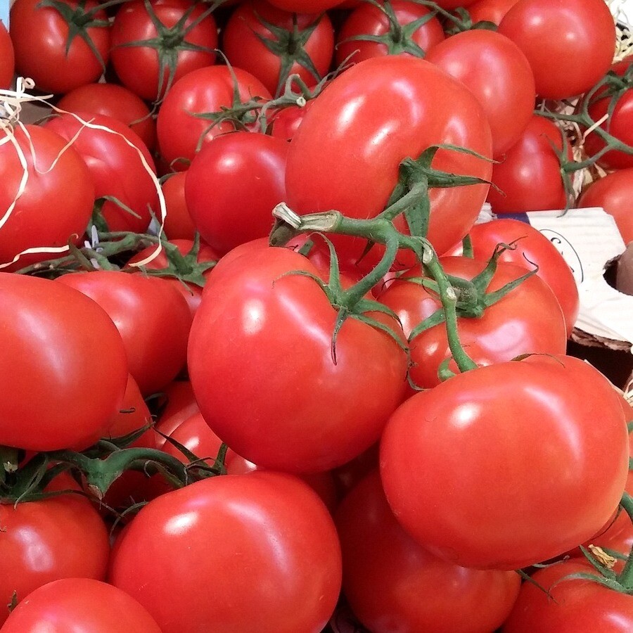 Red On the Vine Tomatoes Per lb.
