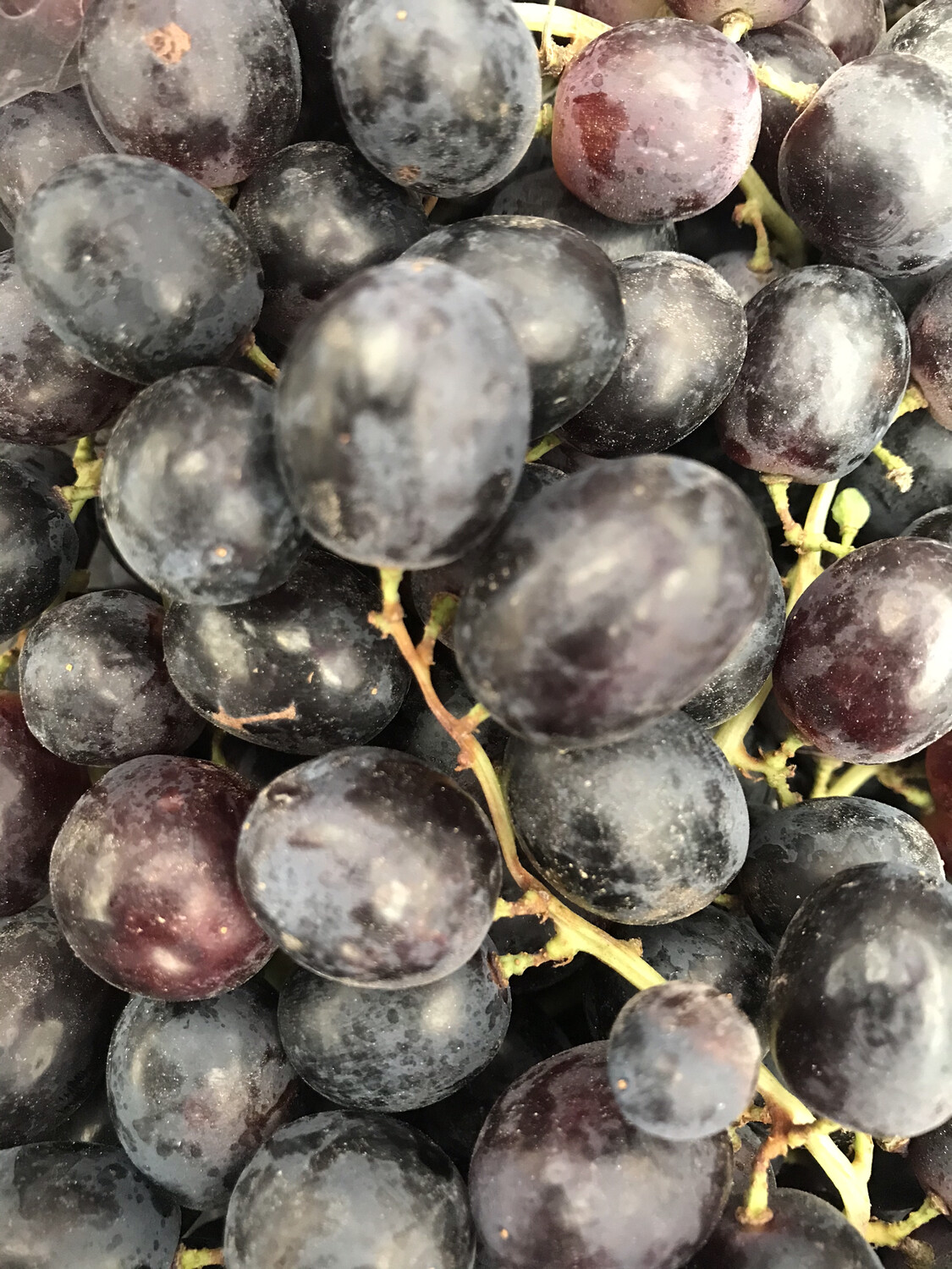 ‘Candy Dreams’ Black Seedless Grapes Per lb.
