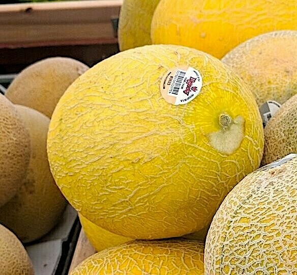 Hami Melons EACH