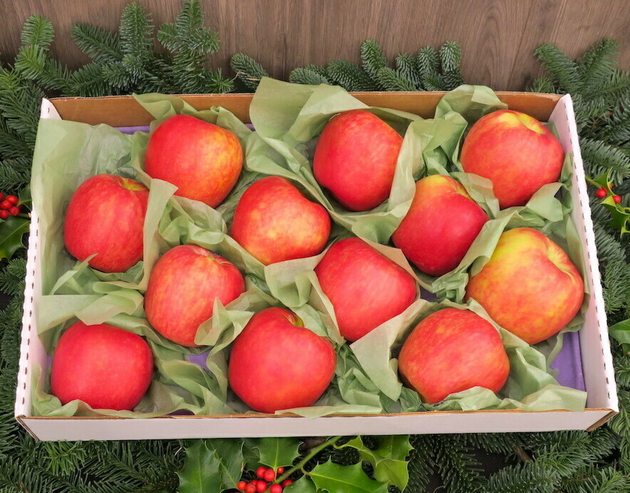Organic Honeycrisp Apple Gift Box, approx. 10 lbs.
