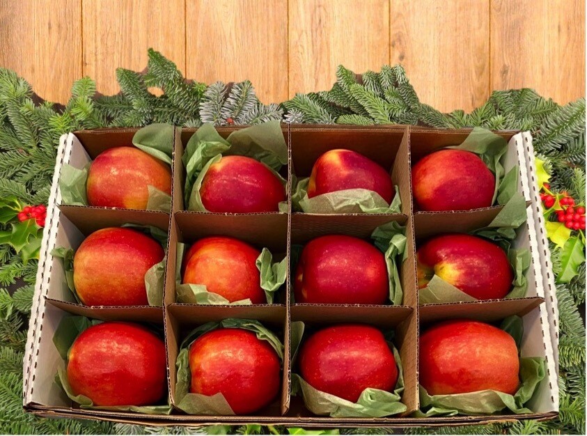 Cosmic Crisp Apple Gift Box, Premium Grade Choose Size