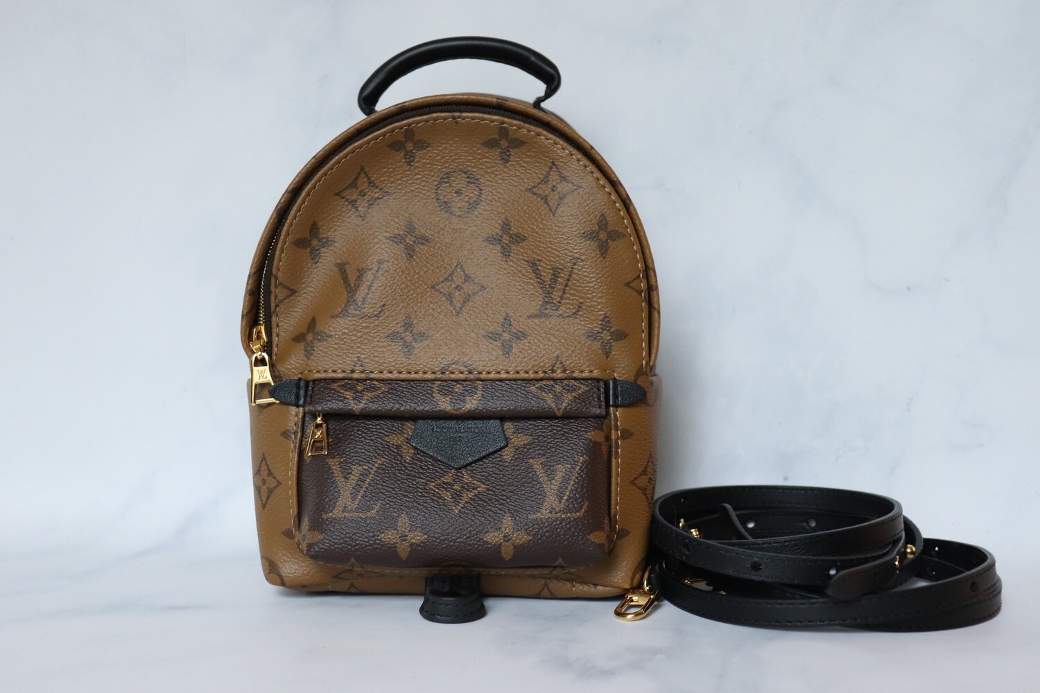 Louis Vuitton Palm Springs Mini Backpack Reverse, New With Dustbag