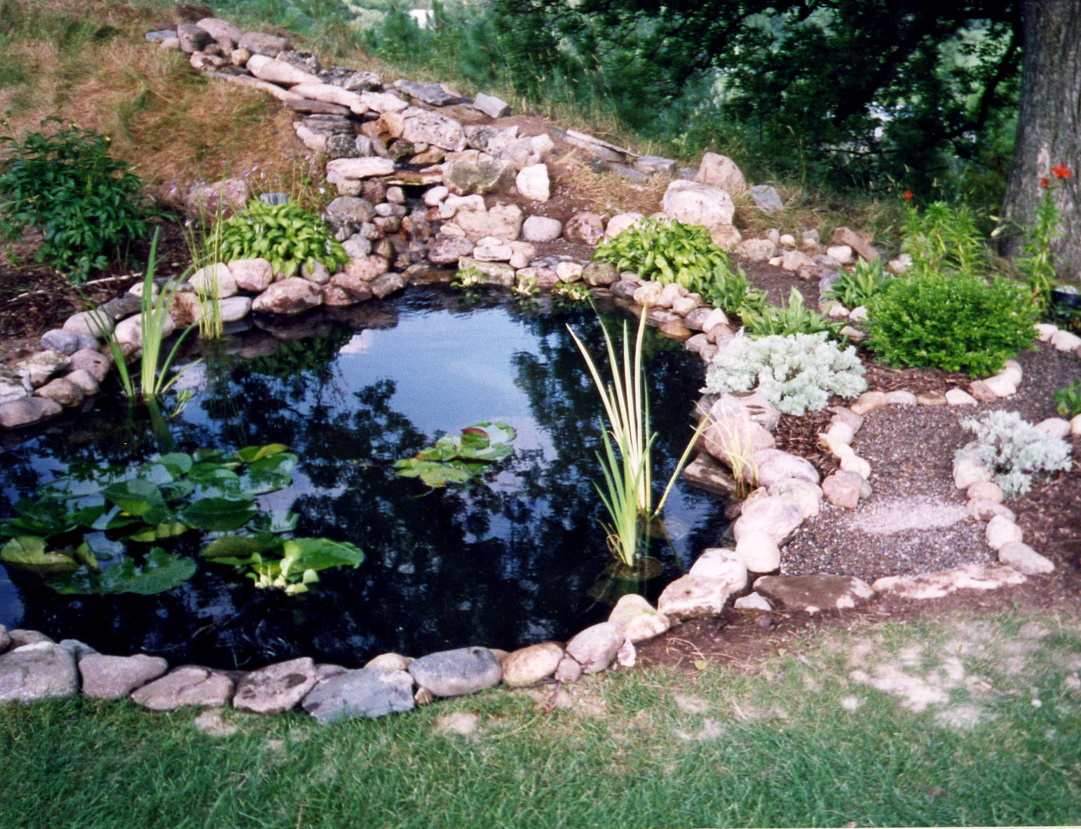 Koi Pond Kits Pond Products Canada Hydrosphere Water Gardens