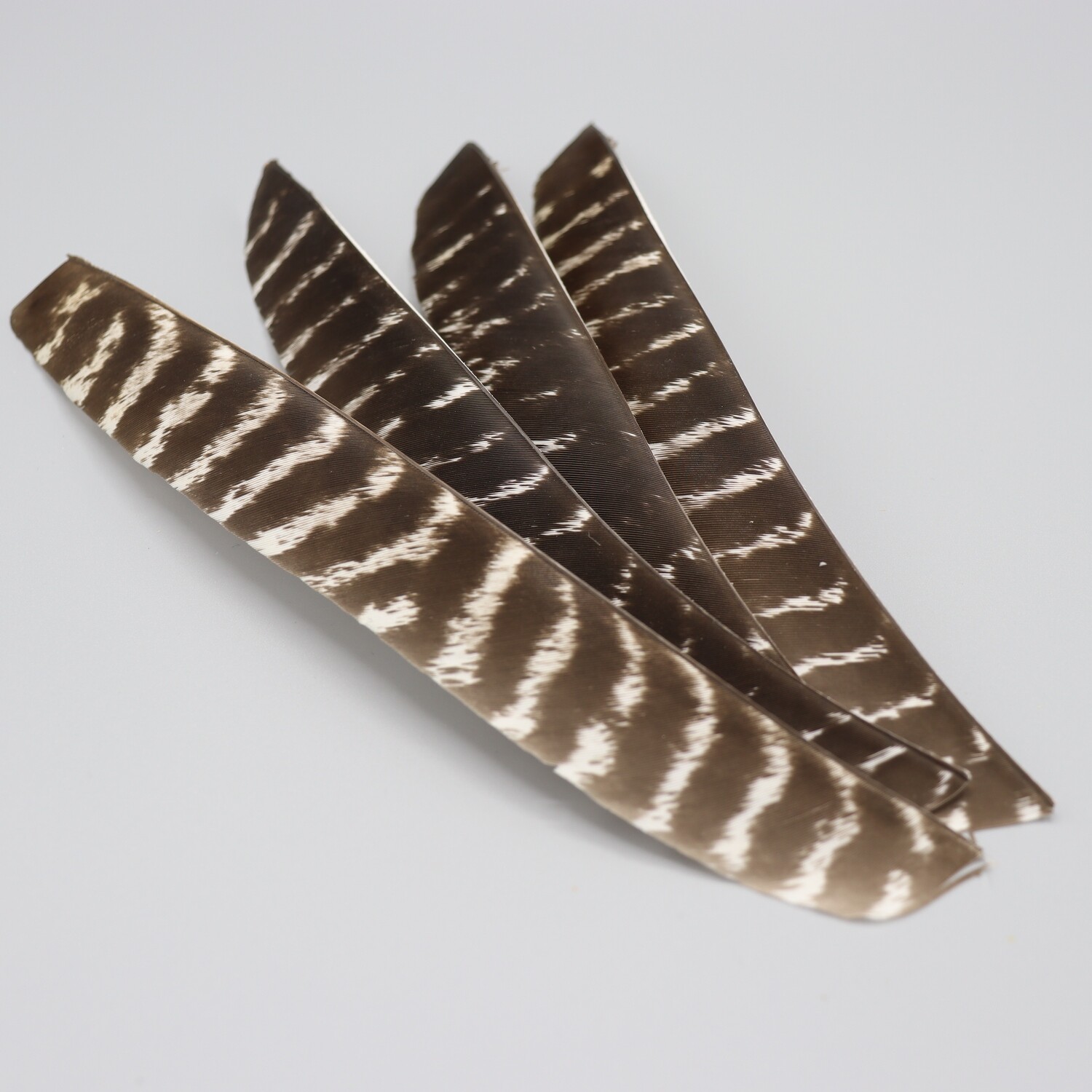 12 Plumes Pleine Longueur Lot De 12 Plumes Naturelles De Dinde Pour
