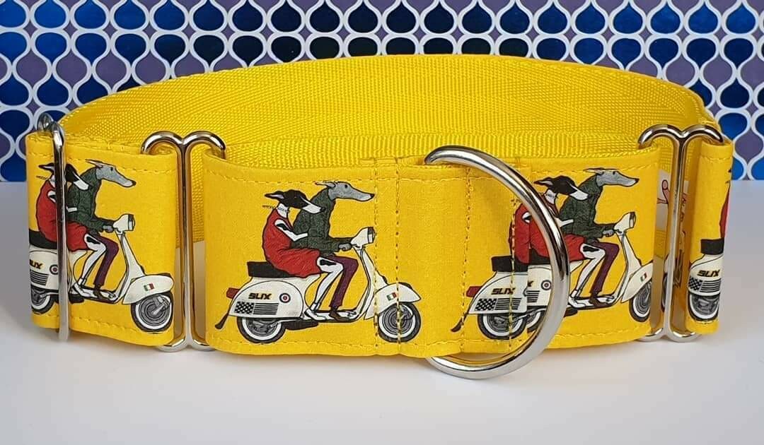 Collar 'Brighton Bound Hounds' by James Hardy