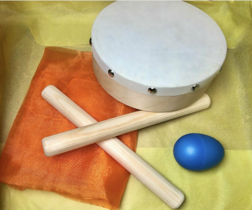 Musical Instrument Gift Set for kids aged 0 6 years