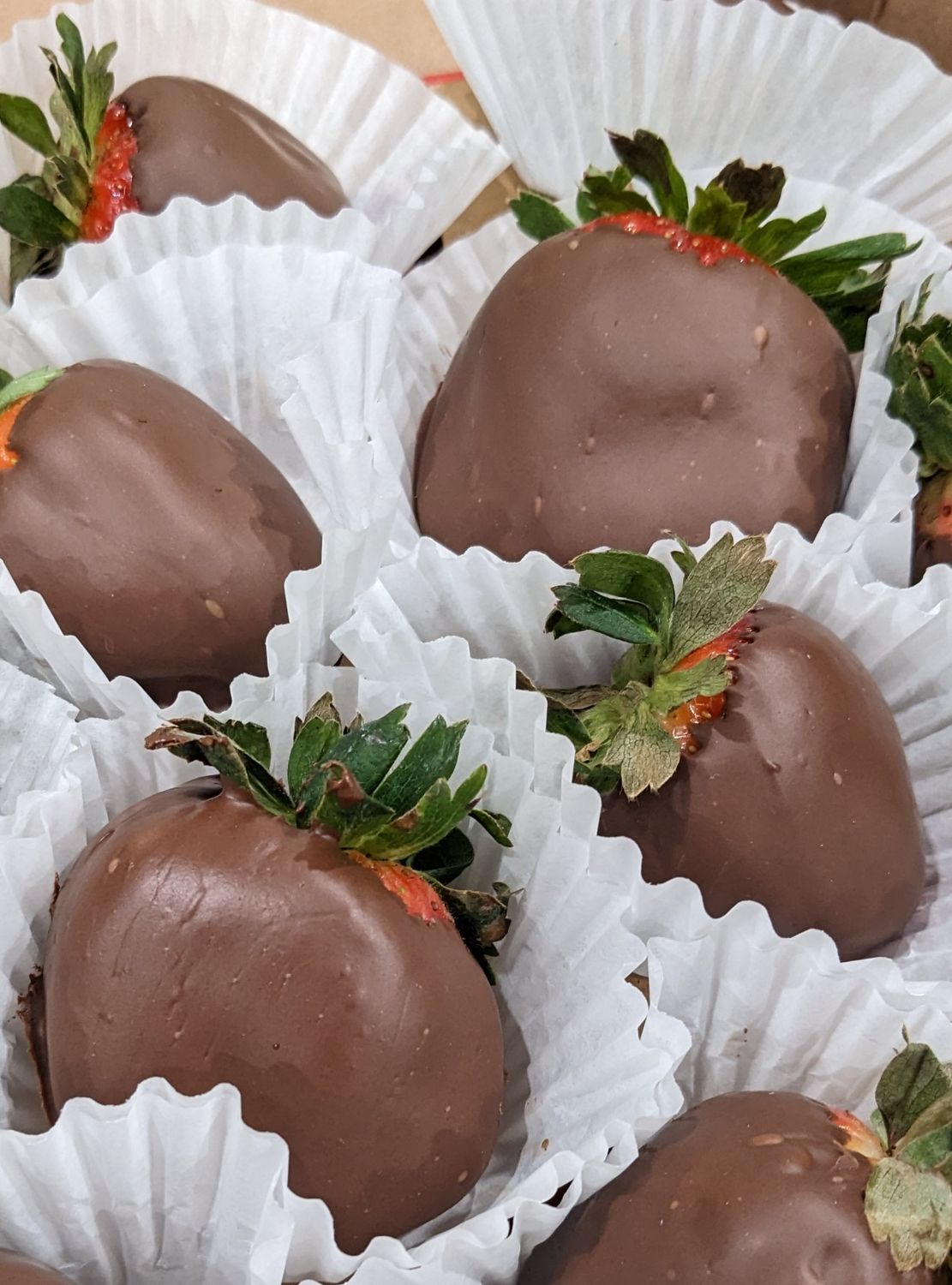 Half Dozen Chocolate Covered Strawberries