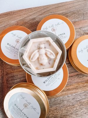 Tallow Making Class - March 21st, 2026