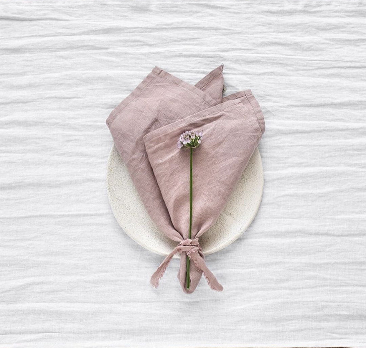 European Linen Napkins set/2