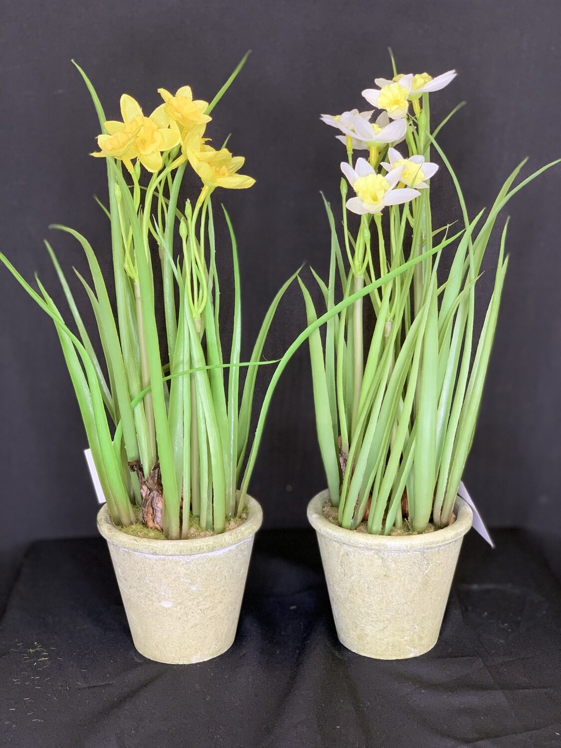Daffodil Pot