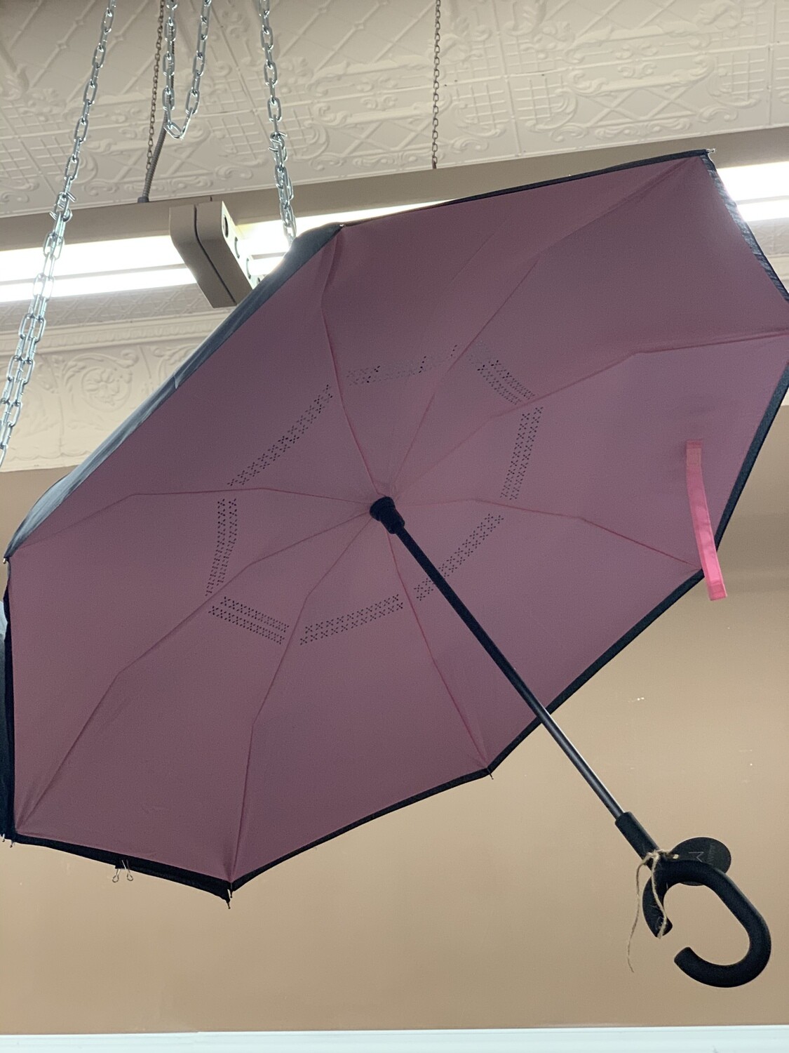 Pink Umbrella