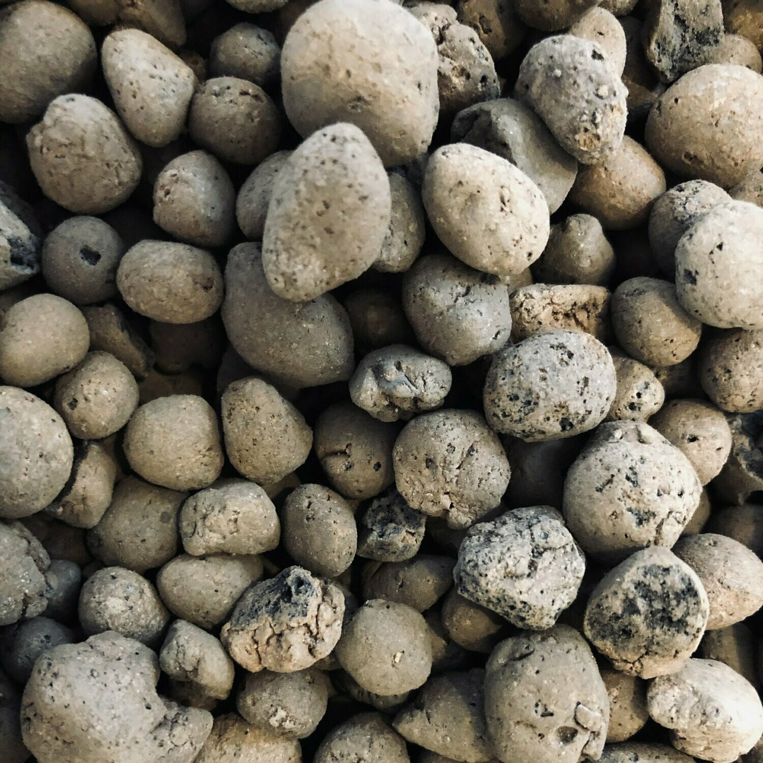 Terrarium Drainage Clay Balls