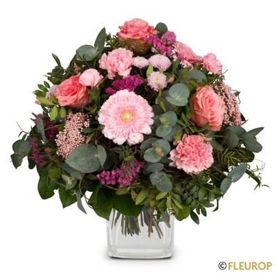 Märchen in Rosa