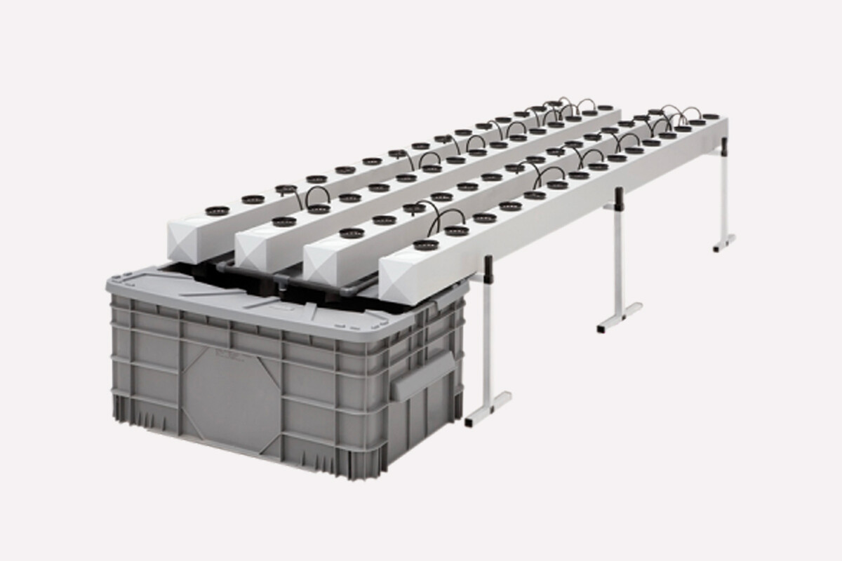 Купить Гидропонные Ящики Для Тюльпанов Бу