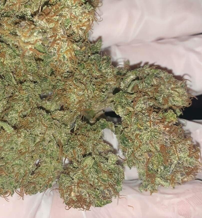 Strawberry cheesecake Feminized Autoflower Seeds