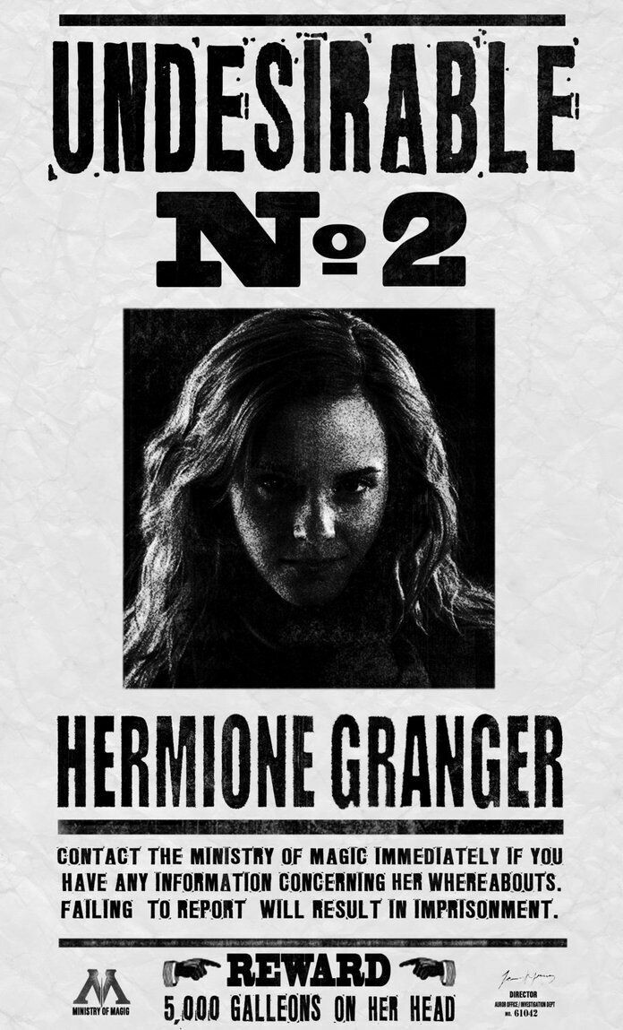 poster-hermione-granger-undesirable-n-2-harry-potter