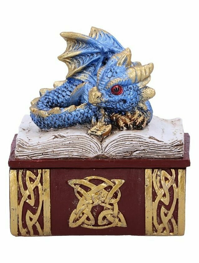 Bedtime Stories Blue Dragon Book Box