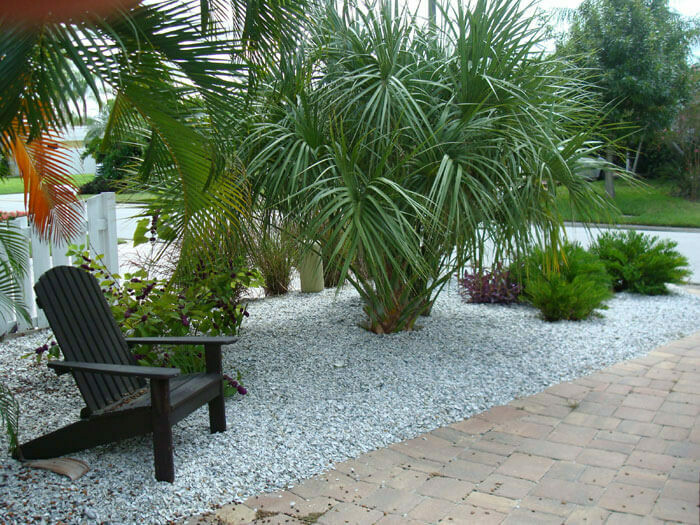 Buy Florida Friendly Plants Largo and St. Petersburg