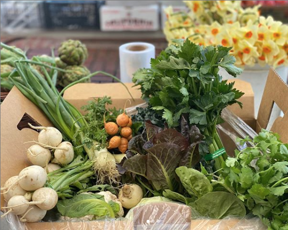 The Gourmet Farm Box