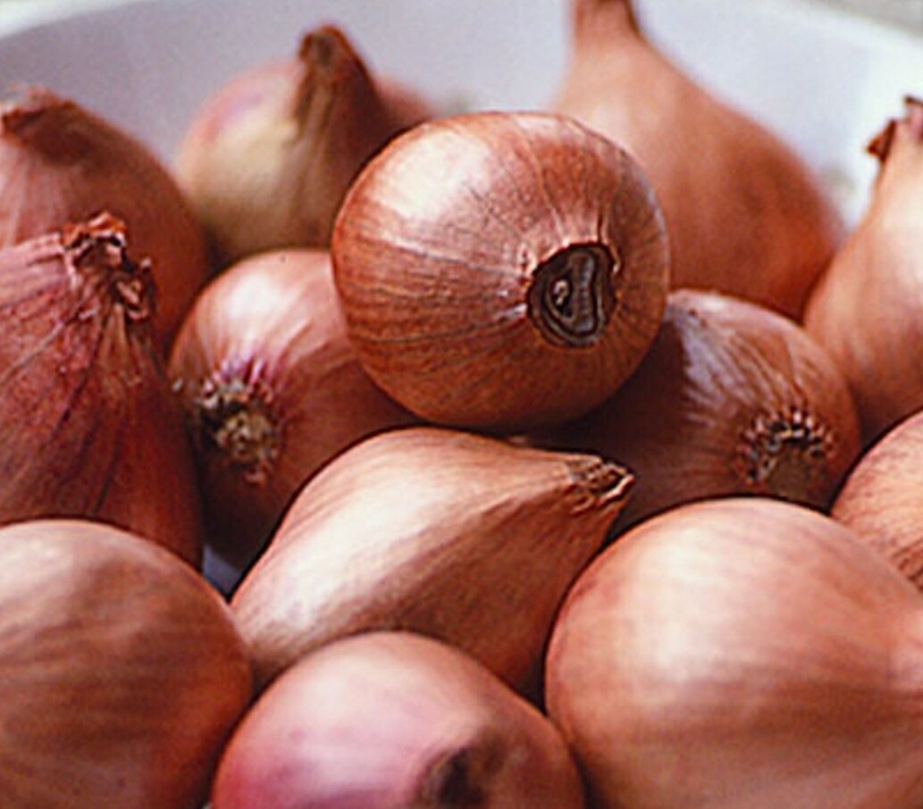 Round Shallot Onion 400gm